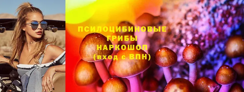 Галлюциногенные грибы GOLDEN TEACHER  Зеленоградск 